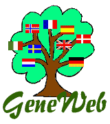 GeneWeb